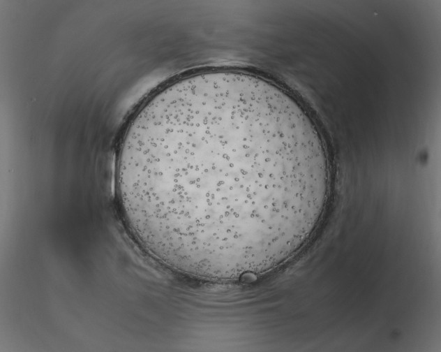 X0000116621171200912312132