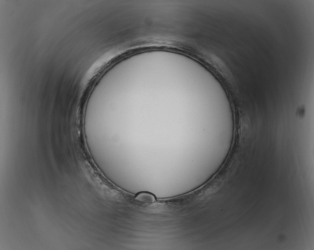 X0000116621172200912312132