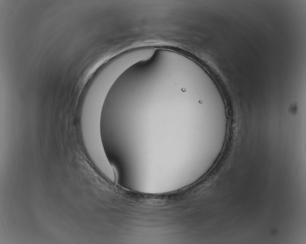 X0000116621173200912312132