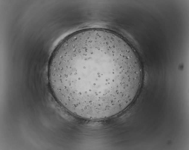 X0000116621174200912312132