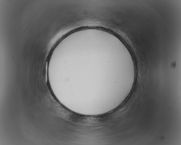 X0000116621175200912312132