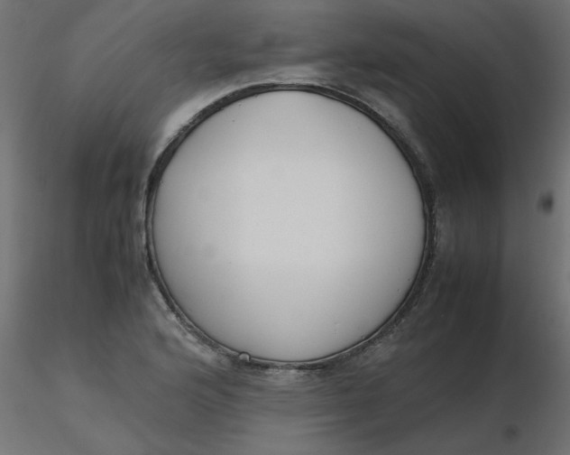 X0000116621176200912312132