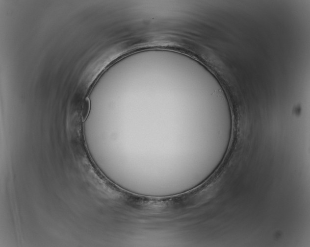 X0000116621177200912312132