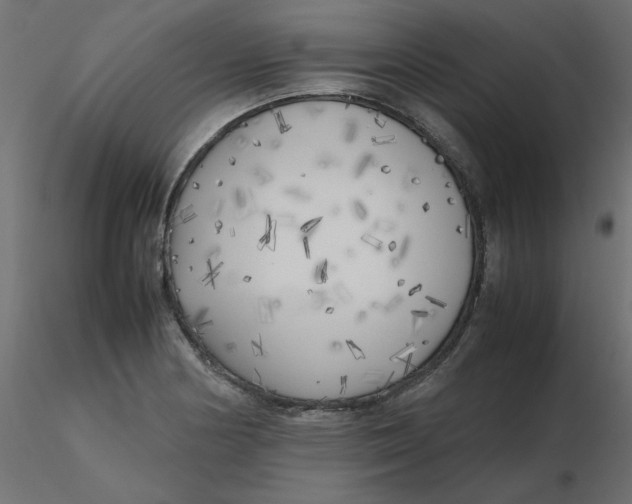 X0000116621178200912312132