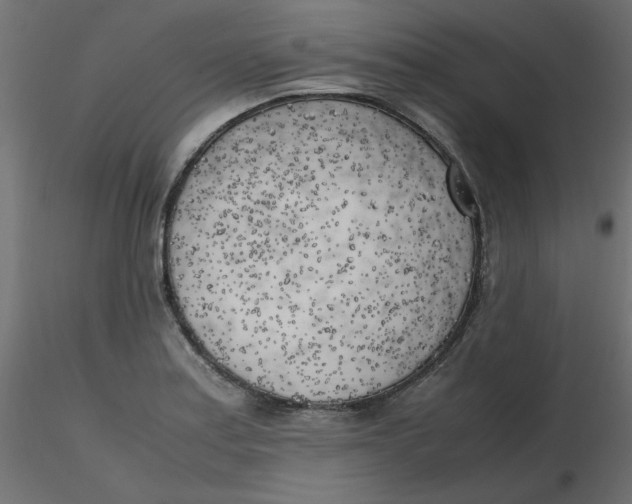 X0000116621179200912312132