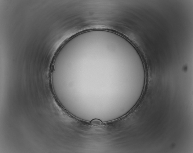 X0000116621181200912312132