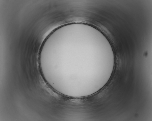 X0000116621182200912312132