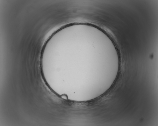 X0000116621183200912312132