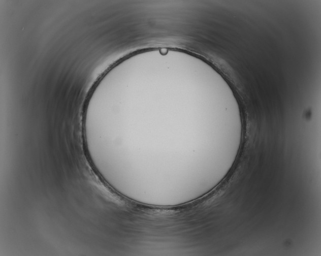 X0000116621184200912312132