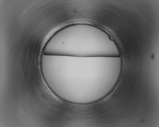 X0000116621188200912312132