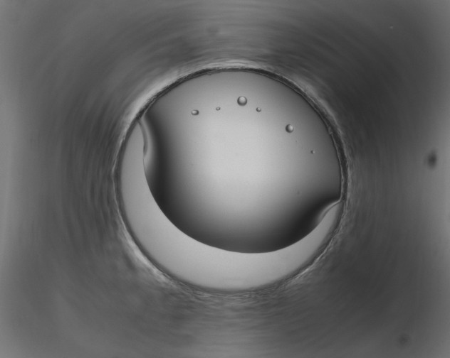 X0000116621189200912312132