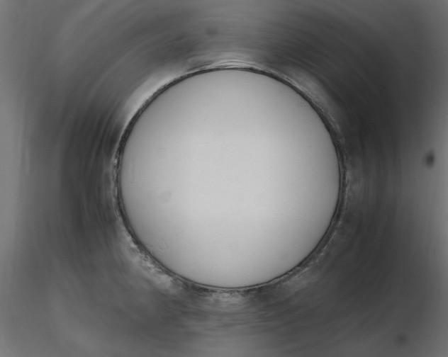 X0000116621190200912312132