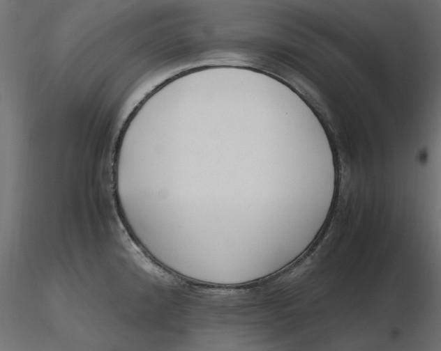 X0000116621192200912312132