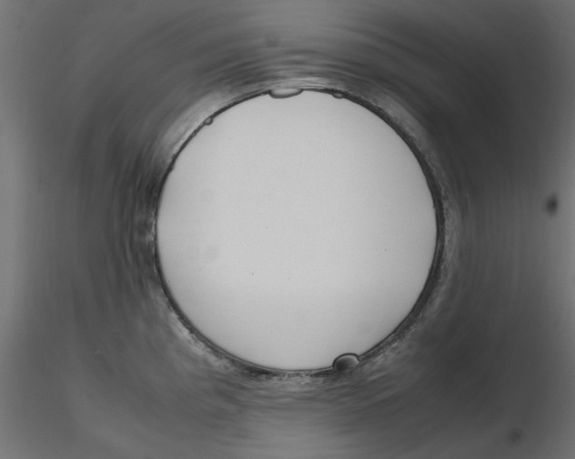 X0000116621193200912312132