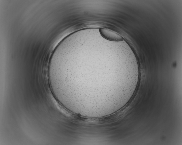 X0000116621194200912312132