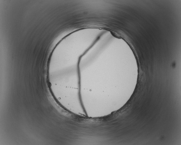 X0000116621195200912312132