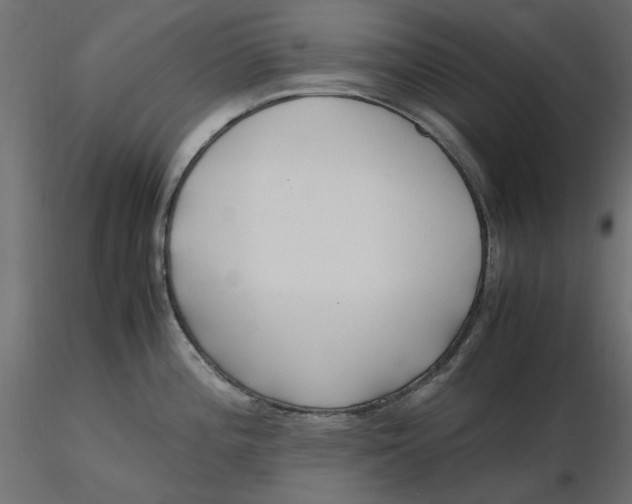 X0000116621196200912312132