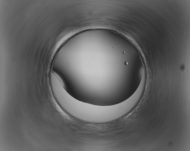 X0000116621197200912312132