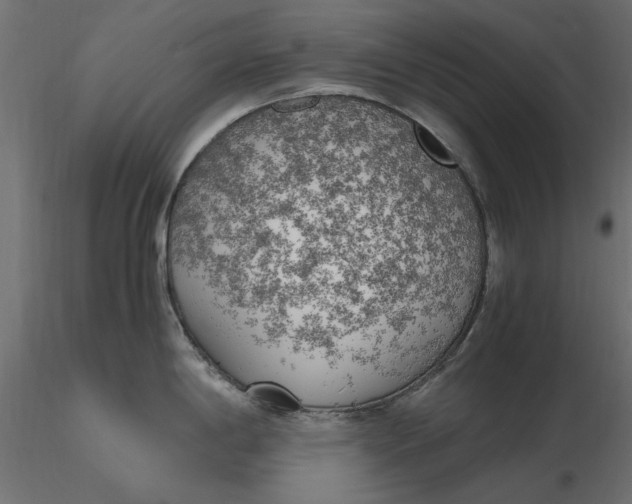 X0000116621198200912312132