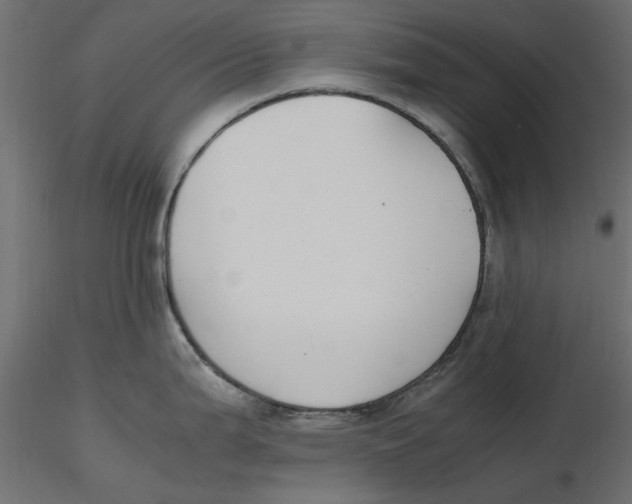 X0000116621199200912312132