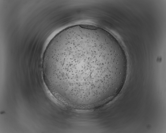 X0000116621200200912312132