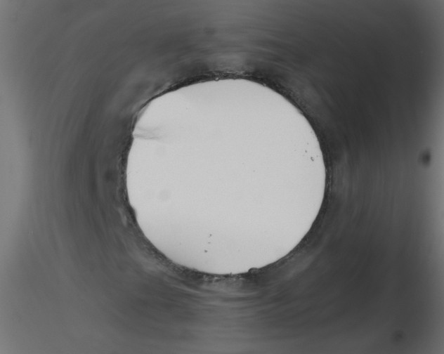 X0000116621201200912312131