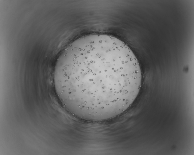 X0000116621202200912312131