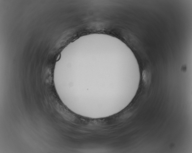 X0000116621203200912312131