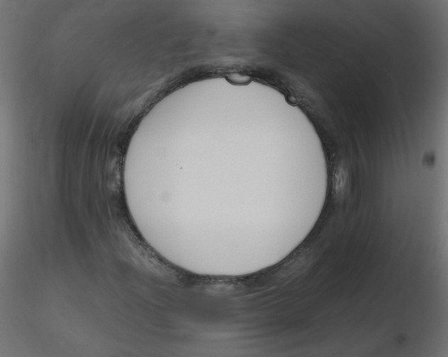 X0000116621204200912312131