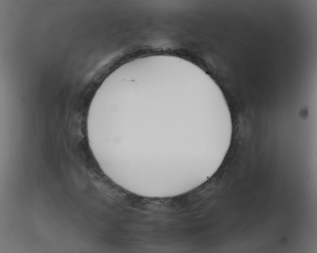 X0000116621205200912312132