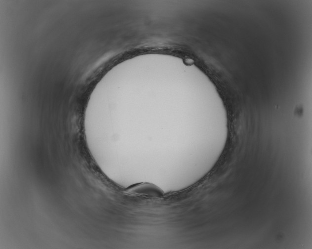 X0000116621206200912312132