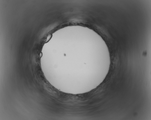 X0000116621207200912312132