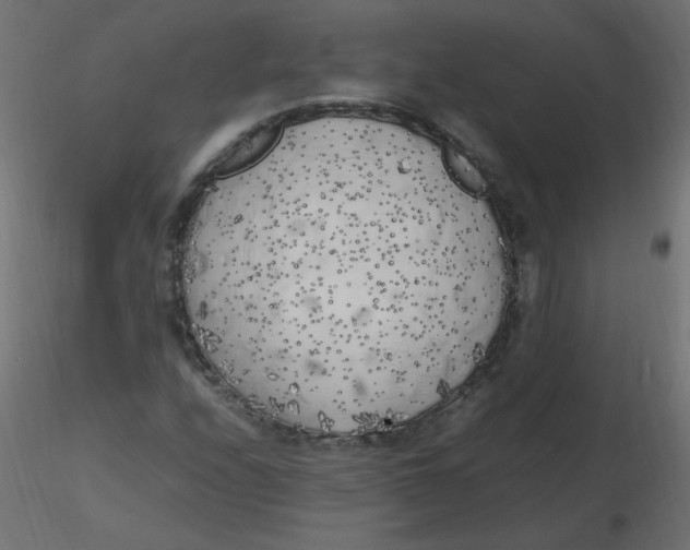 X0000116621208200912312132