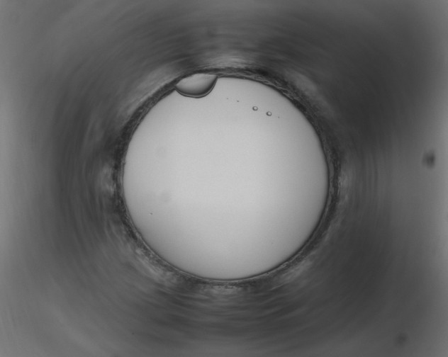 X0000116621209200912312132