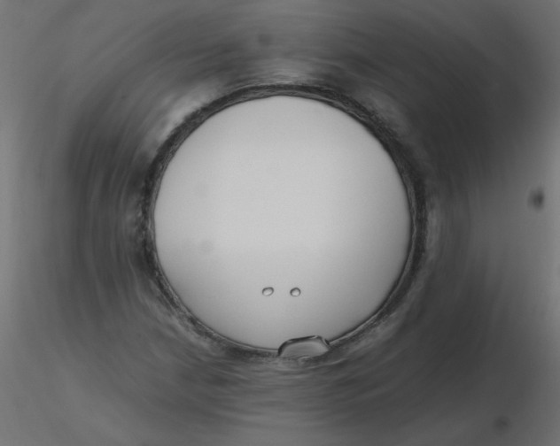 X0000116621210200912312132