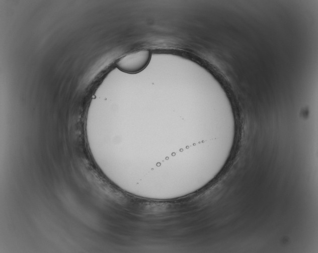 X0000116621211200912312132