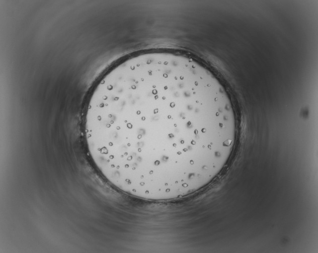 X0000116621212200912312132