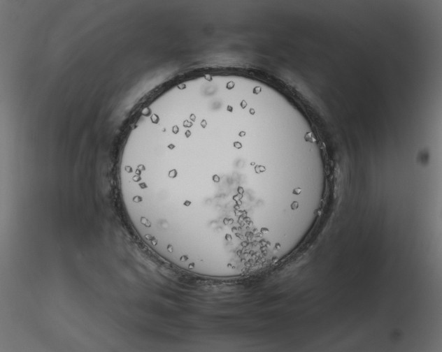 X0000116621213200912312132