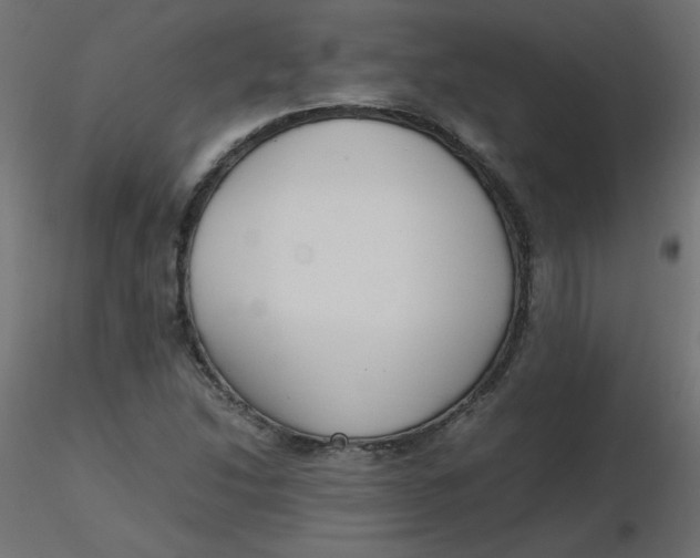 X0000116621214200912312132