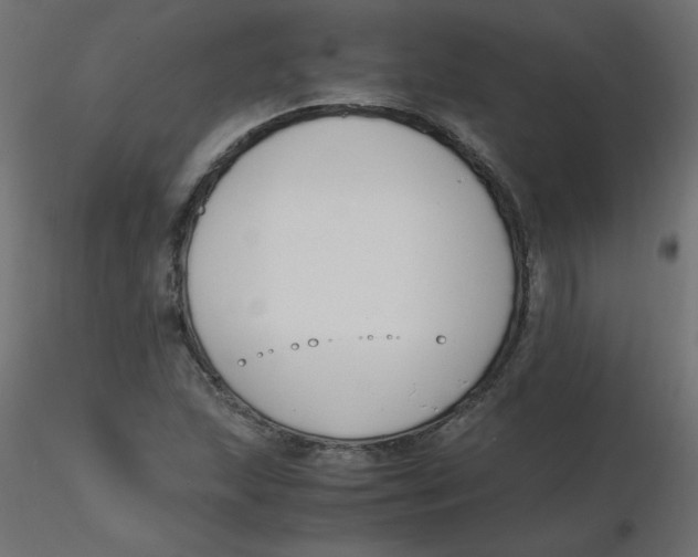 X0000116621215200912312132