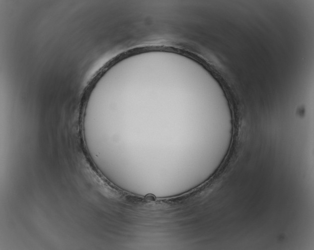 X0000116621216200912312132