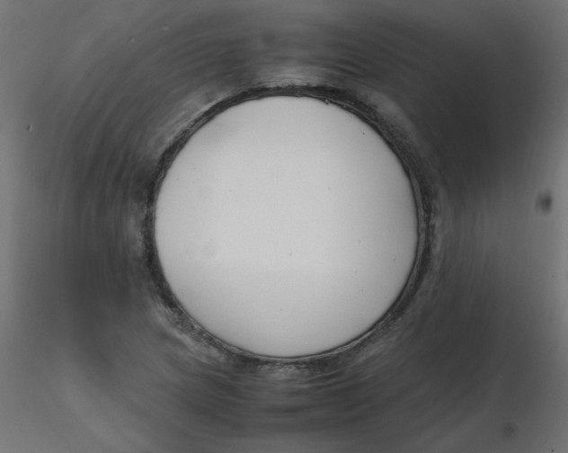 X0000116621217200912312132