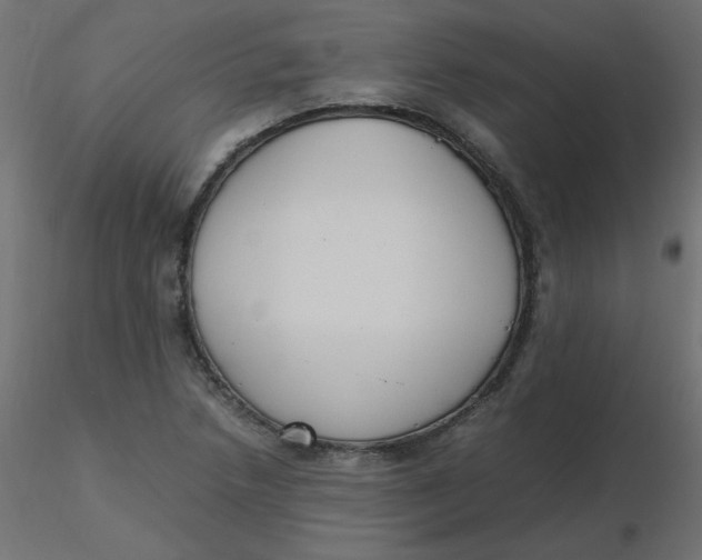 X0000116621218200912312132