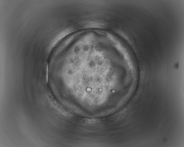 X0000116621219200912312132