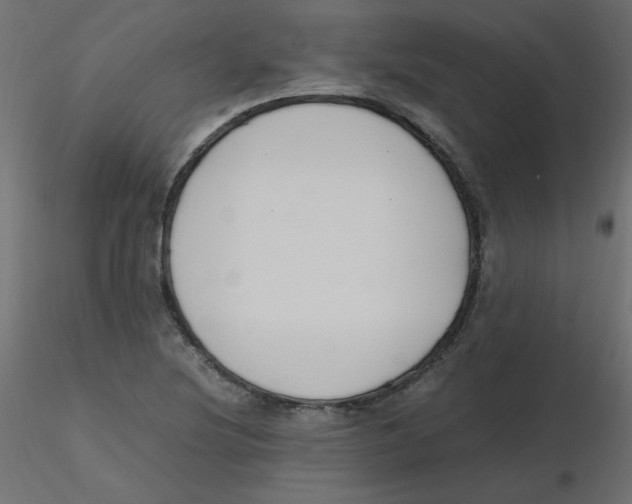 X0000116621220200912312132