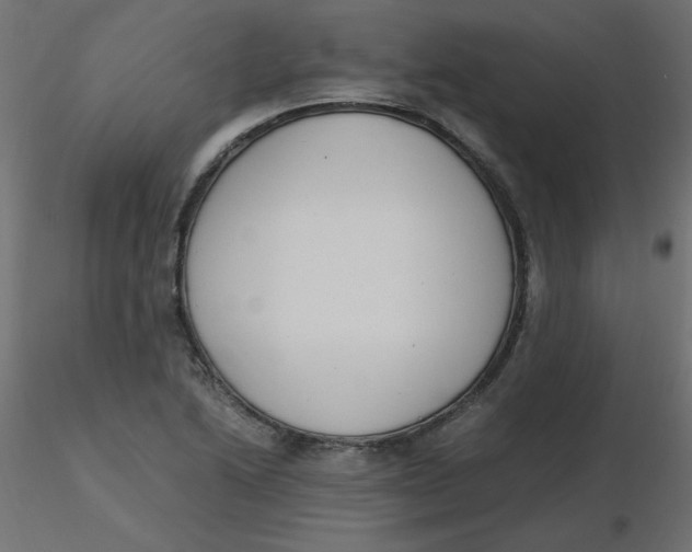 X0000116621222200912312132