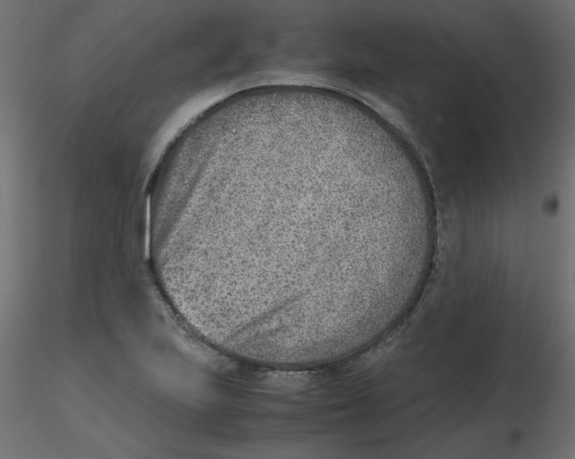 X0000116621223200912312132