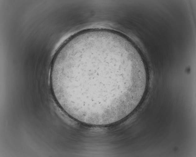 X0000116621224200912312132