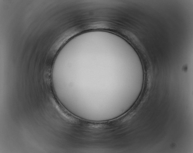 X0000116621225200912312132