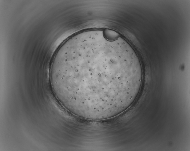 X0000116621226200912312132